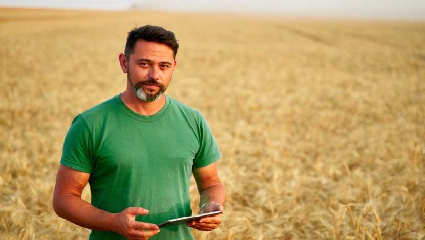 Precision farming. Farmer holding tablet pc, using online data management software at wheat field. Agronomist working with touch computer screen, control, analyse agriculture business. Innovative tech