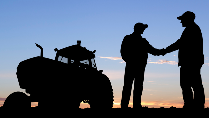 Building Loyalty Through Insight